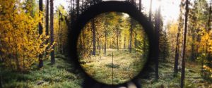 View through a rifle scope